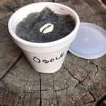 savon de protection spirituelle  – bouclier contre mauvais œil et sorcellerie